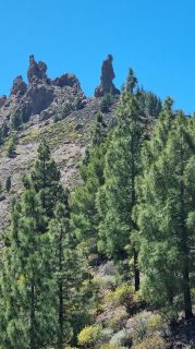 2023-04-GranCan-Roque_Nublo-008.jpg